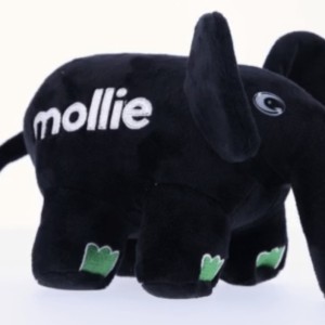 Mollie